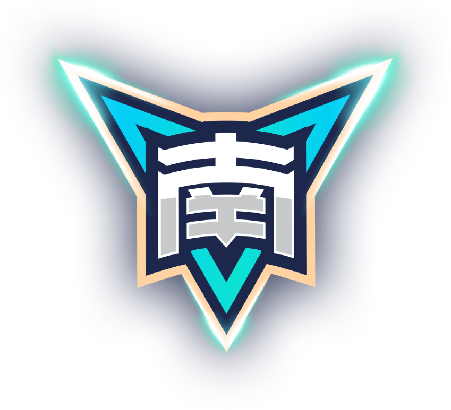 博卡青年